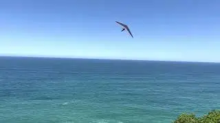 Hang gliding off Strzelecki Lookout, Newcastle