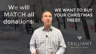 Trees 4 Treasures