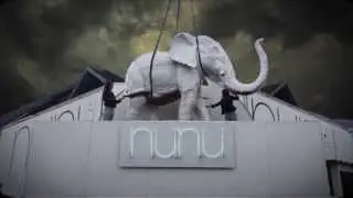Duo Diamonds | Nunu Belgium (announce)