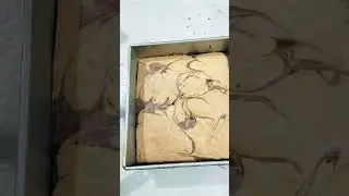 marble effect pound cake #trending #cake #chocolatedessert #shortvideo