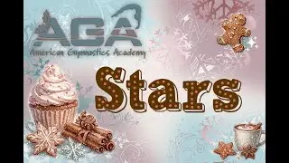 Stars Holiday Show 2025
