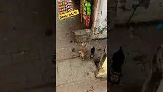 Drone Prank #shorts #short #drone #shortfeed
