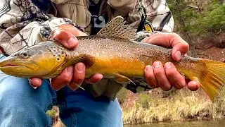 Fishing the Frying Pan River in basalt Colorado