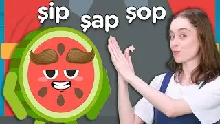 Karpuz Adam Şip Şap Şop Şarkısı - Eğlenceli Dans Şarkısı