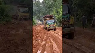 truk muatan sawit nekat trabas jalan ektrim#shorts