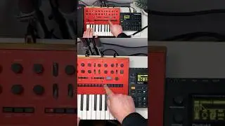 Korg Monologue Acid Patch #synth #electronicmusic #techno #ableton #monologue #digitakt #music