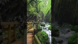 🌿🍃Nature, Relaxing Wate Sounds, Relaxing #shorts #nature