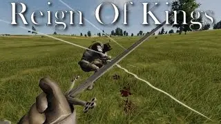 Reign Of Kings : Fighting the King!