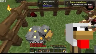 Minecraft ChickenBlock (java)  EP 20 Getting the good chickens!!