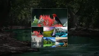 Gallery App Javascript