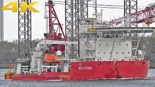 🛳️ WORLD-CLASS 4K SHIPSPOTTING AT THE PORT OF ROTTERDAM 2025