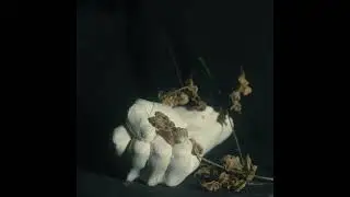 Pain Magazine - Like A Storm (Official Audio)