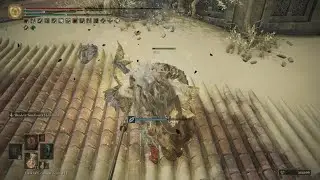 ELDEN RING: Poise Challenge