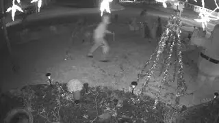 Video: Grinches destroy Christmas decorations at homes in Bowie