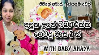 අලුත ඉපදුන බබා එක්ක දවස් ගෙවුනු හැටි 🦋 | new born baby vlog #newbaby #newbornbabyvlog