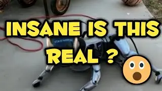 New Robot Dog - Insane