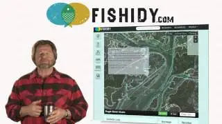 Fishidy Website Demos