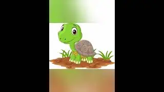 Turtle #shorts #subscribe #short #shortsfeed #shortvideo