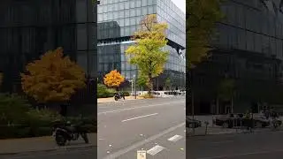 Berlin looks beautiful in Autumn 🍂🍁❤️ | Germany 🇩🇪 is pure Autumn Wonderland | Visit Berlin