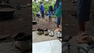 Fat lee Kusuma efendi sedang live sekarang!