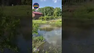 💥firecrackers caused a waterquake.#FirecrackerPower #UnderwaterBlast