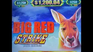 Big Red Strike - 🦘 comes through again 😁