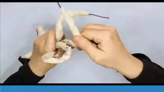 PROGRAMA DE LABORTERAPIA EN ADULTOS: BONSAI
