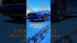 Everyone Says Mustangs Are Bad in Winter #Mustang #WinterDriving #ColdStart #EcoBoost #fordmustang