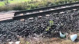 2nd delayed GO train in old cummer