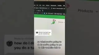How To Install the Chat Widget On Your Website
