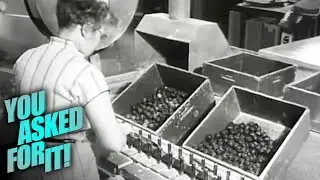 How Baseballs Are Made (1950s) | You Asked For It