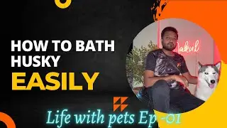 Husky bathing | How to bath dogs easily 4K | ಕನ್ನಡ VLOG | life with pets Ep-01 | Nakul The Traveller
