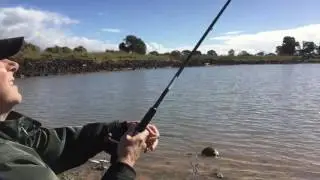 Trout fishing in Melbourne - tricks to catching more fish