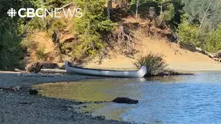 Mother, 5-month-old child killed by falling tree at Vancouver Island campsite