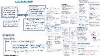 VIJAYANAGARA EMPIRE | MEDIEVAL HISTORY | MINDMAPS | UPSC CSE 