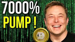 IT’S HAPPENING! Dogecoin 7000Pump X Money Final Warning 🚨