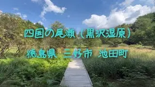 四国の尾瀬 (黒沢湿原) 徳島県 三好市 池田町