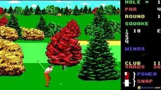 World Class Leader Board gameplay (PC Game, 1987)