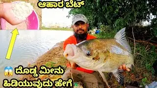 ಮೀನು ಹಿಡಿಯುವ ಹೊಸ ತಂತ್ರ!!  Fishing new trick, best Fishing video,