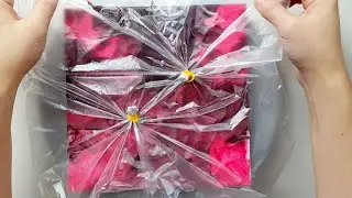 (1166) Red window broken with 2 holes | Acrylic & Water | Easy Painting Ideas | Designer Gemma77
