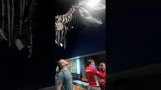 Drumheller,Royal Tyrrell Museum 🦖Alberta  Canada 🇨🇦