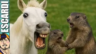 ANIMALES SABROSONES
