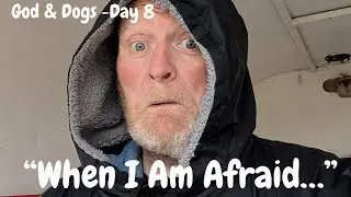 Faith Over Fear &mdash;A Lesson from God & Dogs. 