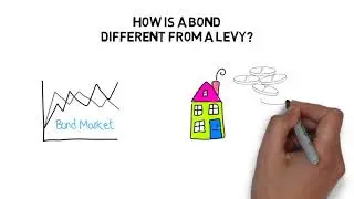 Bond vs Levy