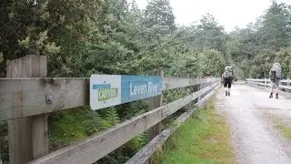 Bushwalking Tasmania, Penguin To Cradle Trail, Day 2