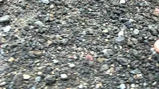What's on the ground near Mount Hekla, Iceland