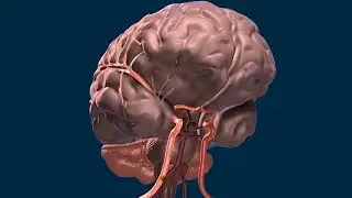 CereTom en Ambulancia - La unidad de Cleveland Clinic