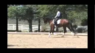 DressageClinic.com Presents Guenter Seidel Assisting Sarah Christy Riding Shakespeare sample 3172012