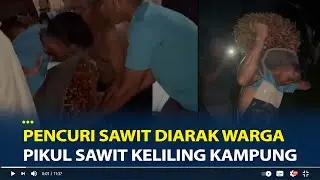 Viral Pencuri Sawit Diarak Warga Pikul Sawit Keliling Kampung