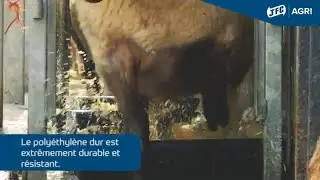 P&eacute;diluve pour Moutons FB1 - JFC Agri